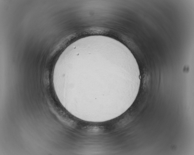 X0000110760254200907131217