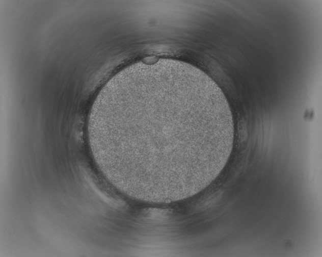 X0000110760255200907131217