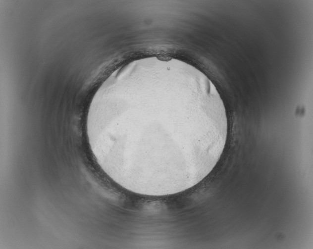 X0000110760258200907131217