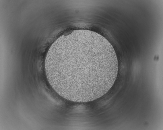 X0000110760259200907131217