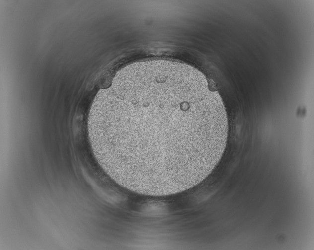 X0000110760263200907131217
