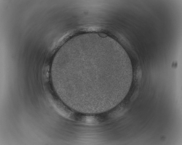 X0000110760264200907131217