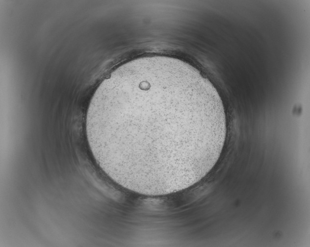 X0000110760265200907131217