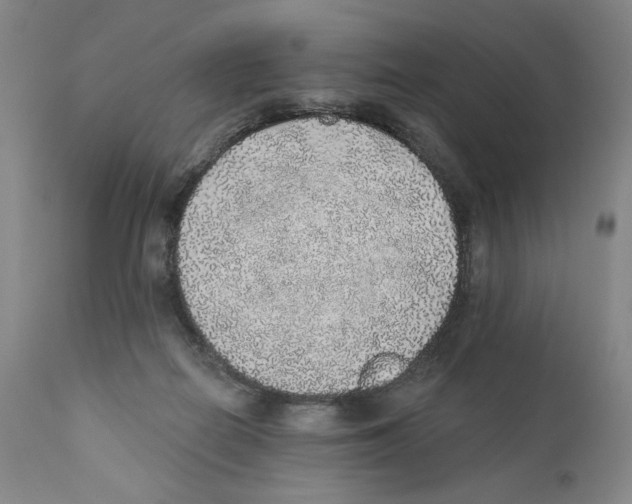 X0000110760266200907131217