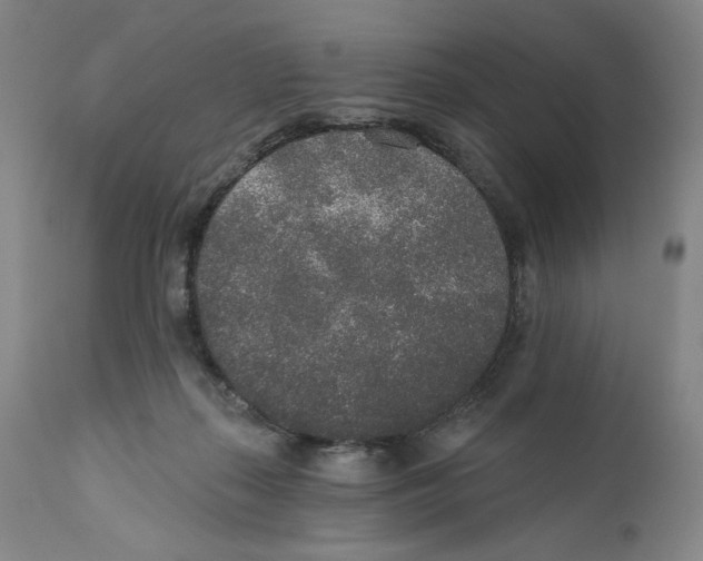 X0000110760267200907131217