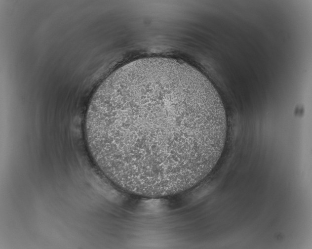 X0000110760269200907131217