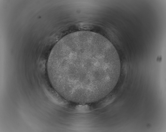 X0000110760271200907131217
