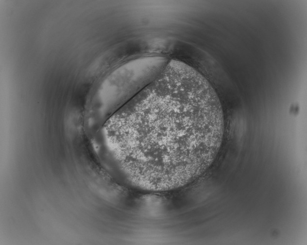 X0000110760272200907131217