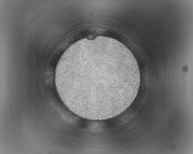 X0000110760274200907131217
