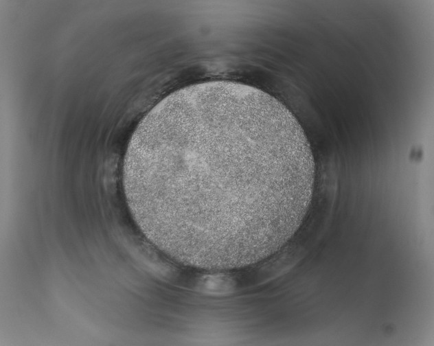 X0000110760275200907131217