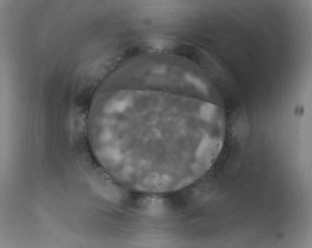 X0000110760276200907131217