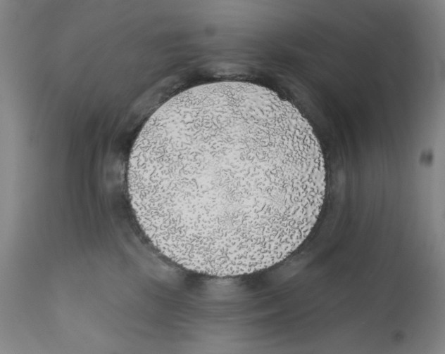 X0000110760281200907131217