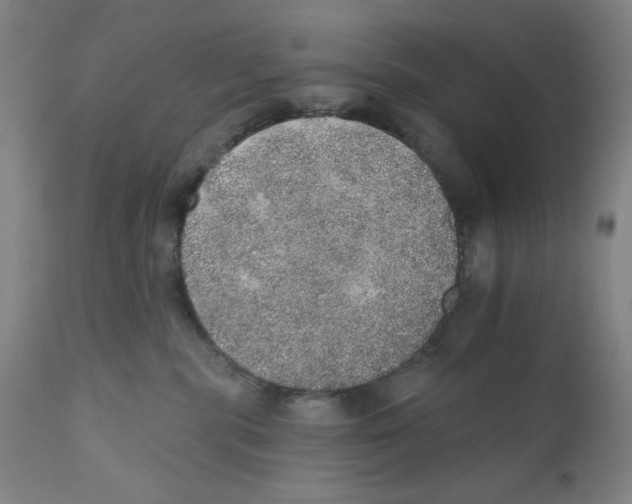 X0000110760283200907131217
