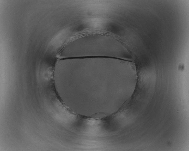X0000110760284200907131217