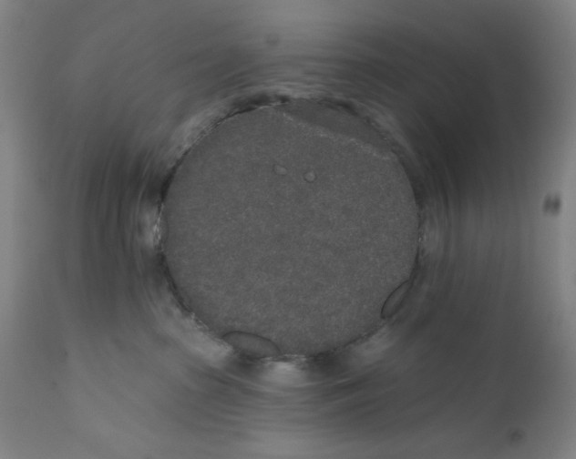 X0000110760285200907131217