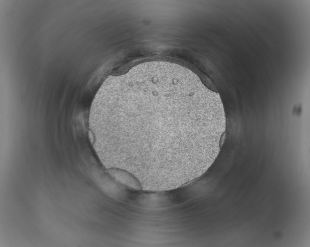 X0000110760286200907131217