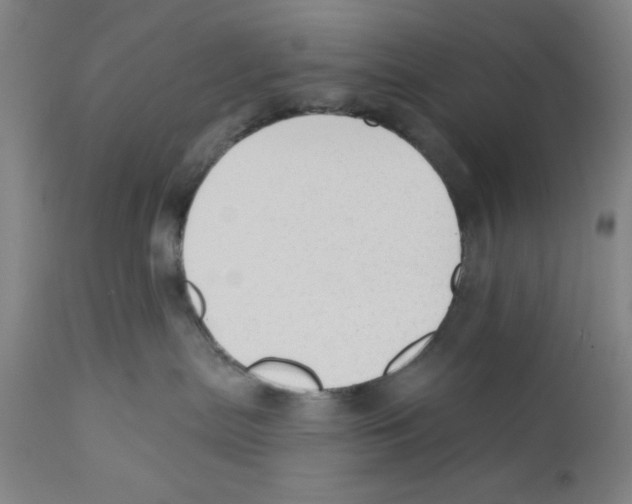 X0000110760287200907131217
