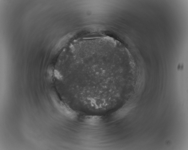 X0000110760288200907131217