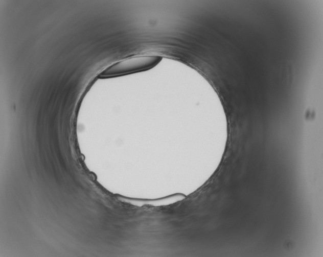 X0000110760289200907131216