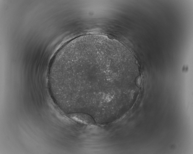 X0000110760290200907131216