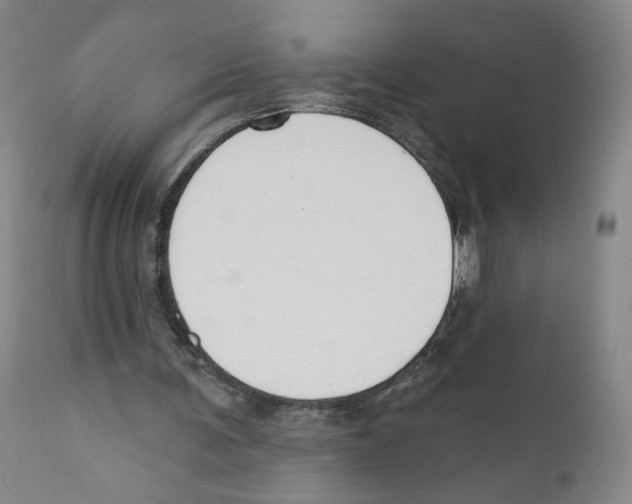 X0000110760291200907131216