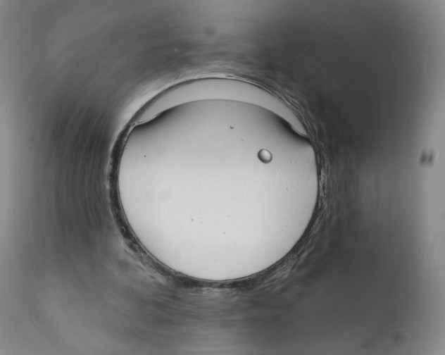 X0000110760292200907131216