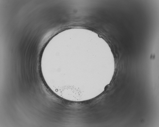 X0000110760293200907131216