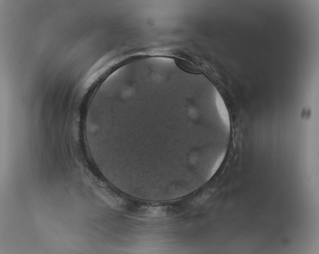 X0000110760295200907131216