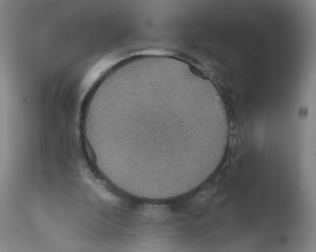 X0000110760296200907131216
