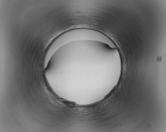 X0000110760297200907131216