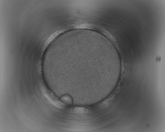 X0000110760298200907131216