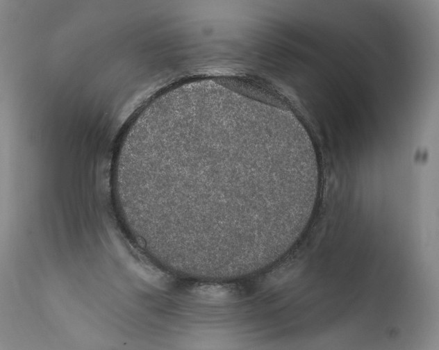 X0000110760299200907131216