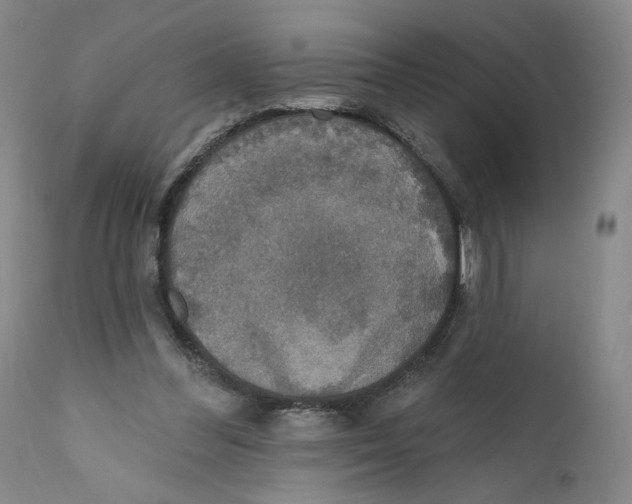 X0000110760300200907131216