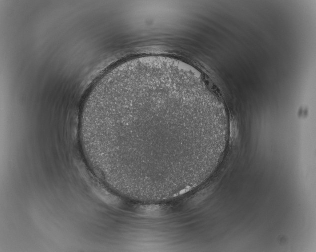 X0000110760301200907131216