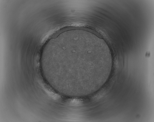 X0000110760303200907131216