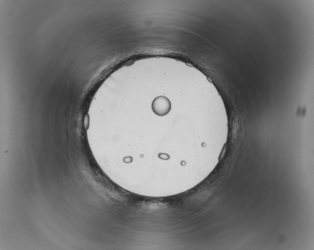 X0000110760304200907131216