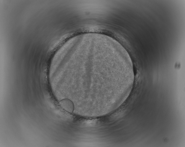 X0000110760306200907131216