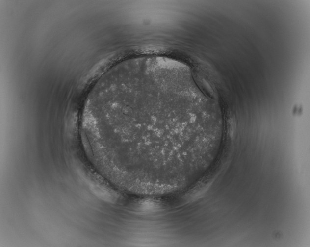 X0000110760308200907131216