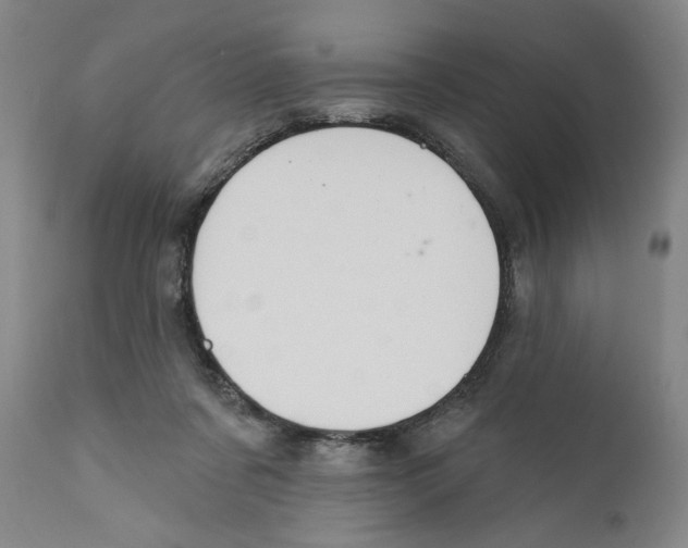X0000110760311200907131216