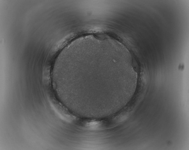 X0000110760312200907131216