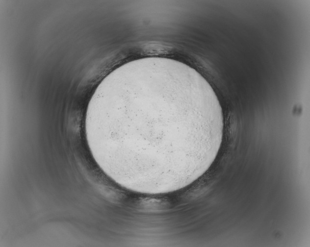 X0000110760315200907131216