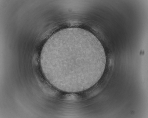 X0000110760316200907131216