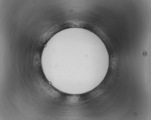 X0000110760318200907131216
