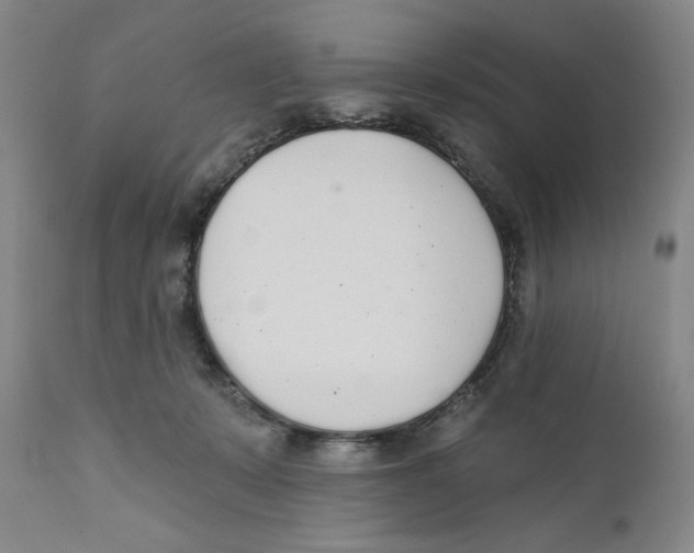 X0000110760319200907131216