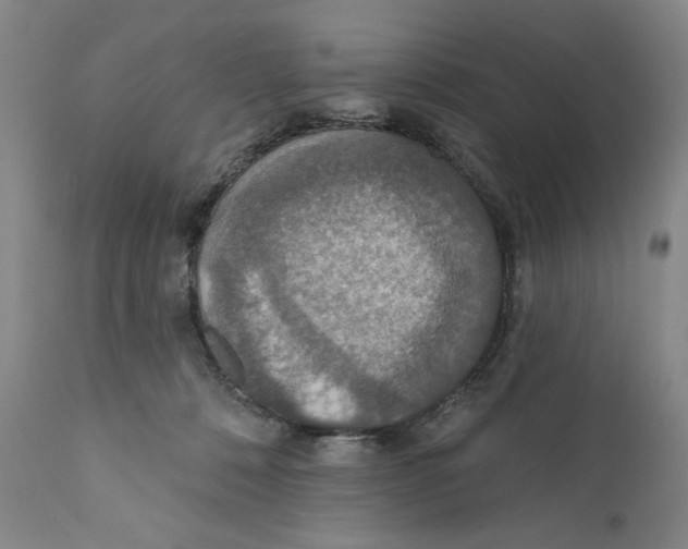 X0000110760320200907131216