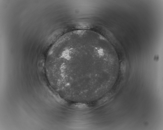 X0000110760322200907131216
