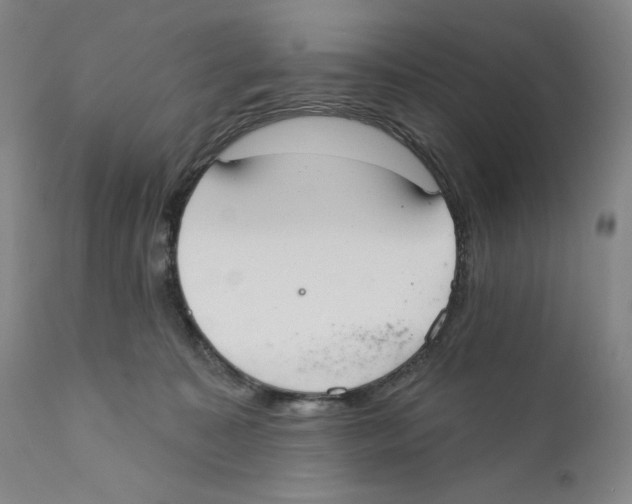 X0000110760323200907131216
