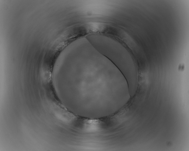 X0000110760324200907131216