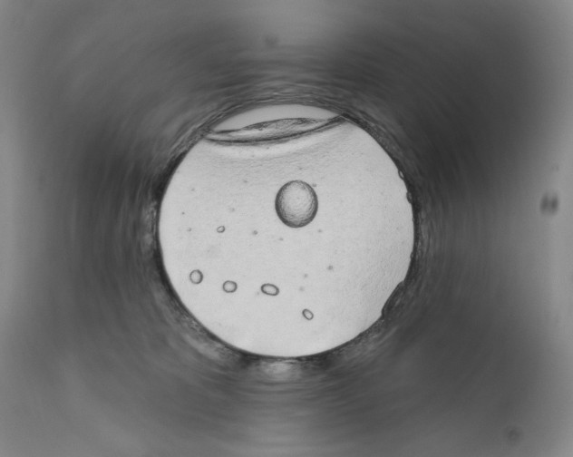 X0000110760325200907131216