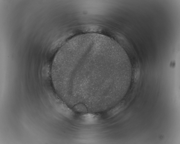 X0000110760326200907131216